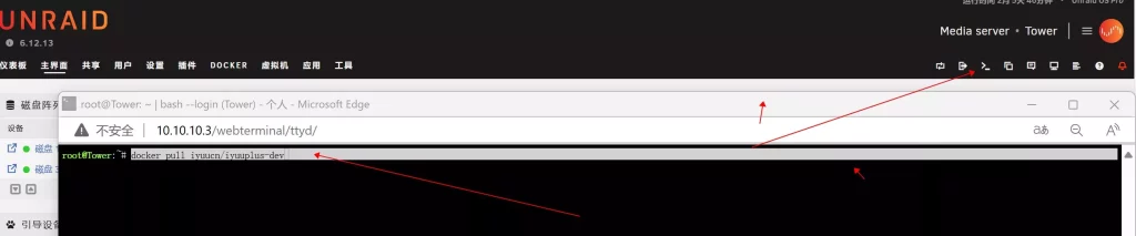 UnRaid的Docker安装IYUU辅种工具